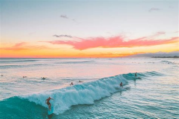 Surf's Up Candle