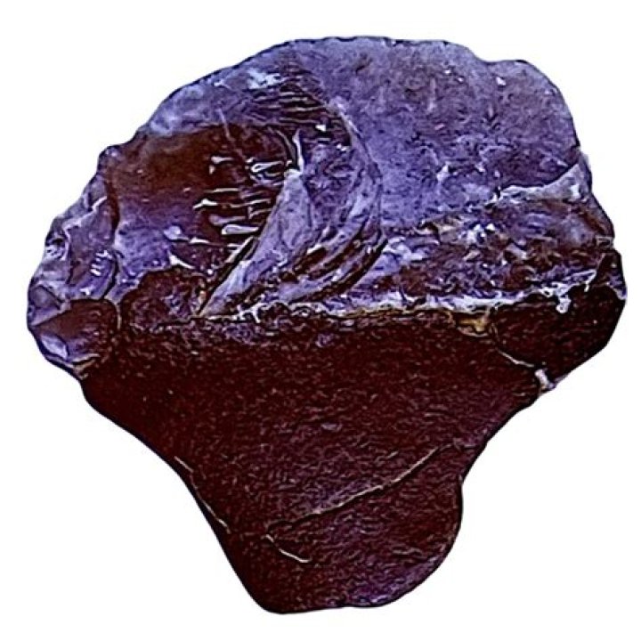 Tar