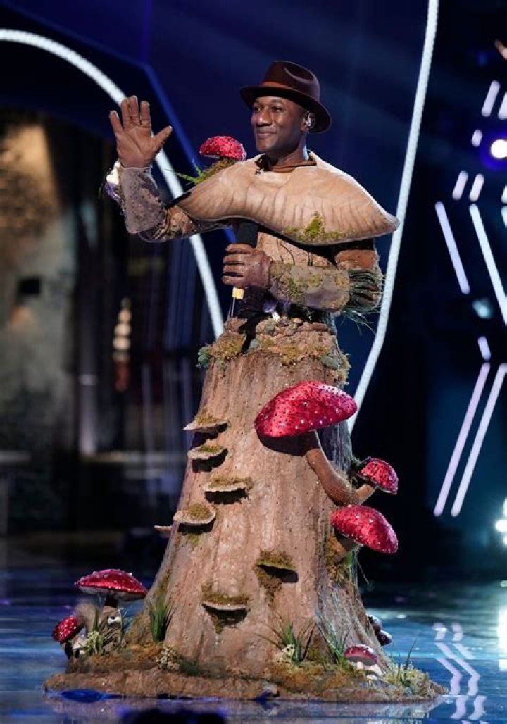 THE MASKED SINGER: Mushroom in the &ldquo;The Group C Play Offs - Funny you should Mask&rdquo; episode of THE MASKED SINGER airing Wednesday, Nov. 4 (8:00-9:00 PM ET/PT) on FOX. &copy; 2020 FOX MEDIA LLC. CR: Michael Becker/FOX.