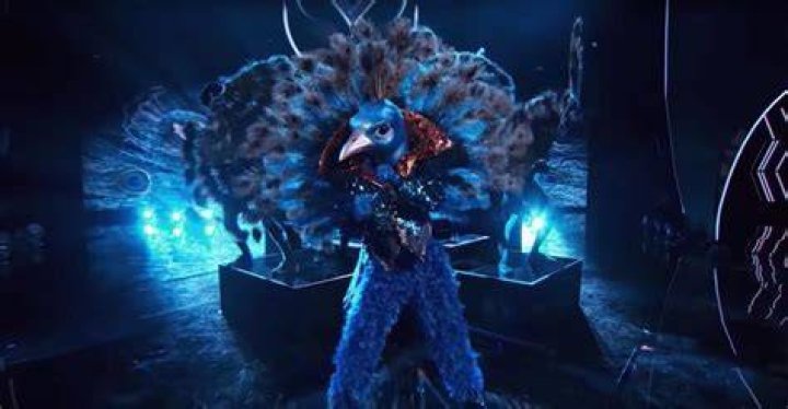 THE MASKED SINGER: Peacock in the &igrave;All Together Now&icirc; episode of THE MASKED SINGER airing Wednesday, Feb. 13 (9:00-10:00 PM ET/PT) on FOX. Cr: Michael Becker / FOX.