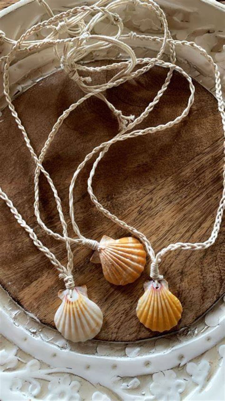 The Seashell