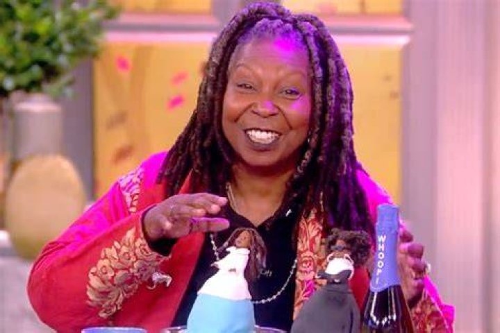 The View - Whoopi Goldberg celebrates her birthday today on ABC's "The View." "The View" airs Monday-Friday, 11am-12pm, ET on ABC. (Walt Disney Television/Heidi Gutman) ABBY HUNTSMAN