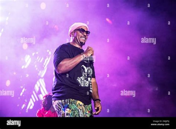 Timbaland performs at the 2019 Essence Festival at the Mercedes-Benz Superdome, in New Orleans 2019 Essence Festival - Day 3, New Orleans, USA - 07 Jul 2019