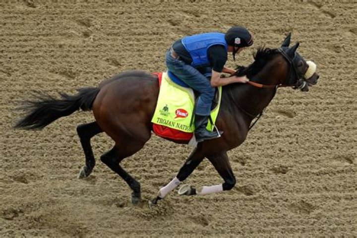 Trojan-Nation-kentucky-derby