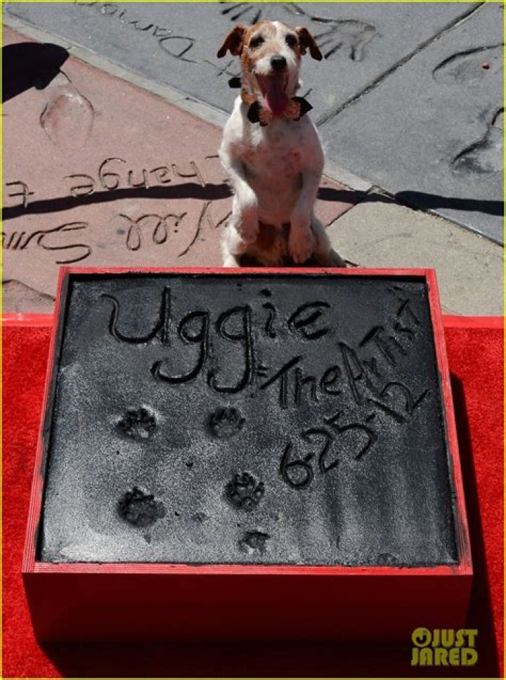 uggie-the-dog-13-gty