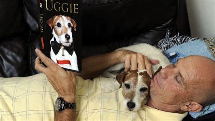 uggie-the-dog-16-gty
