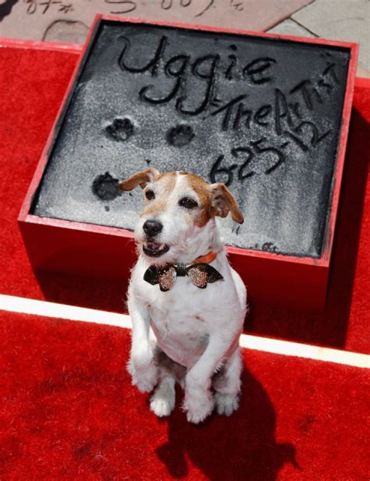 uggie-the-dog-17-gty