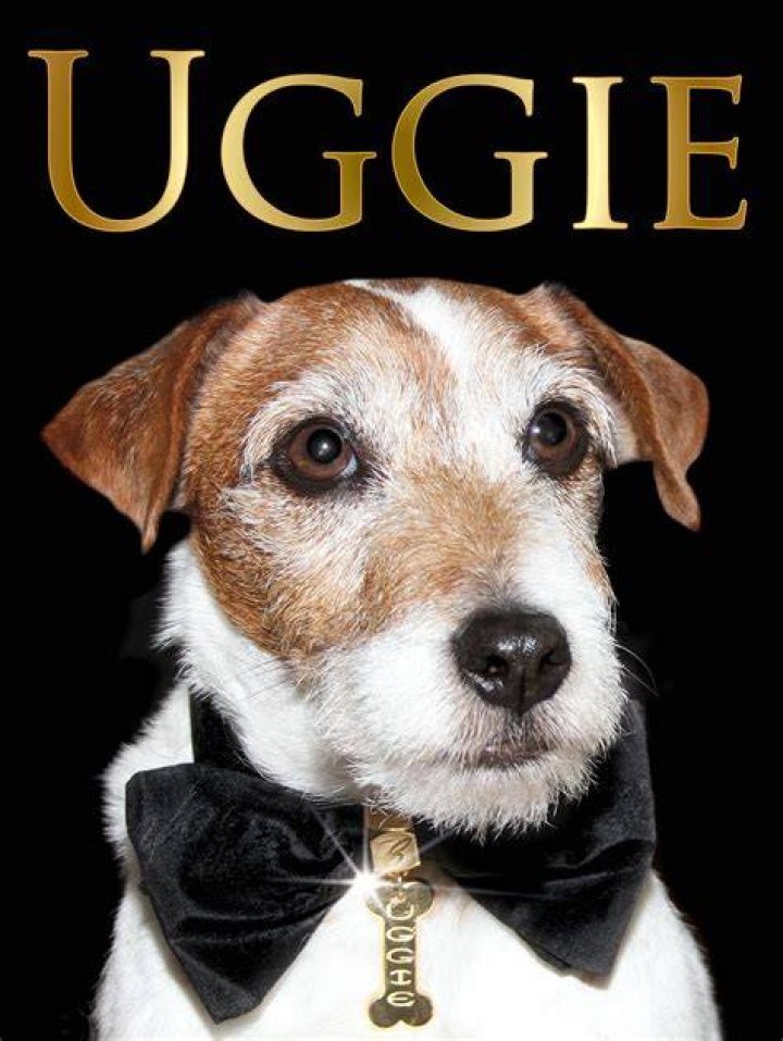 uggie-the-dog-2-gty