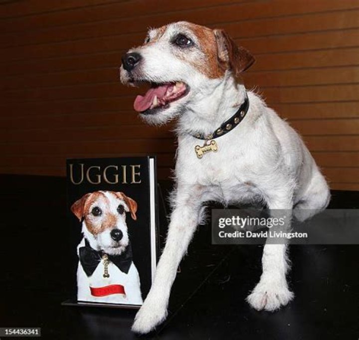 uggie-the-dog-8-gty