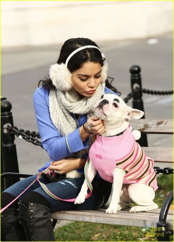 Vanessa Hudgens Walking Her Dog
