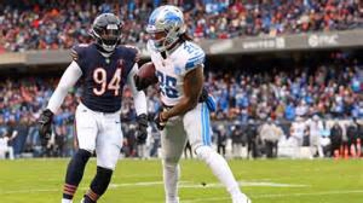Watch Lions Bears Game Online