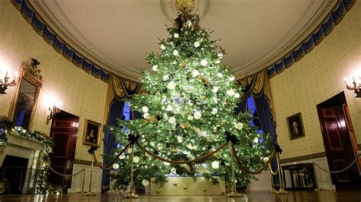 White House Christmas Decorations