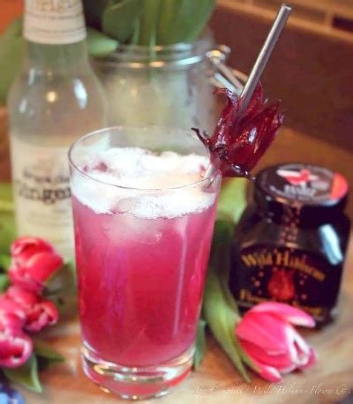 Wild Hibiscus Sharleen