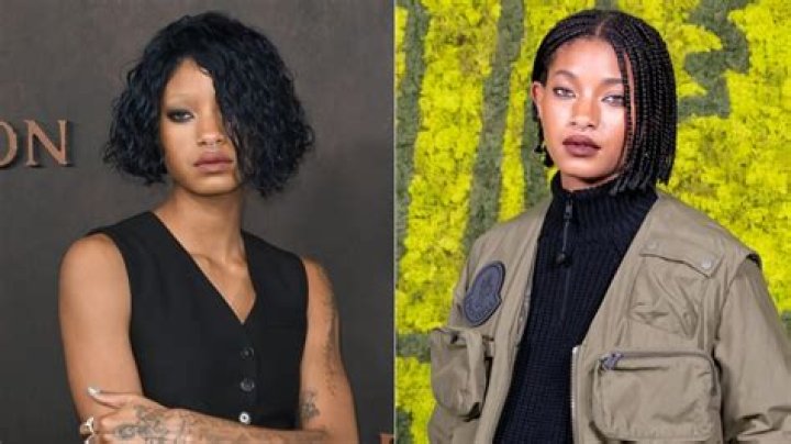 Willow Smith With Silver Hair