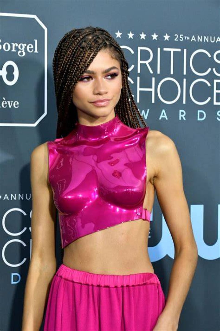 Zendaya At The 2020 Critics&rsquo; Choice Awards